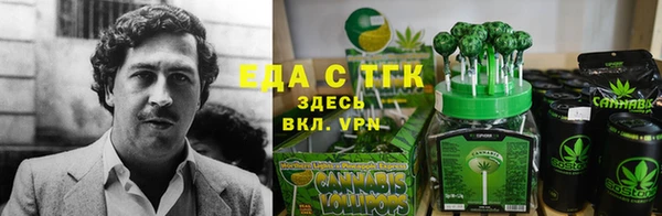 PSILOCYBIN Богданович