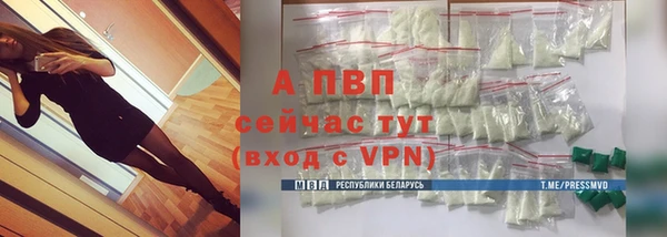 PSILOCYBIN Богданович