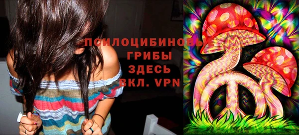 PSILOCYBIN Богданович