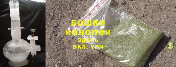 PSILOCYBIN Богданович