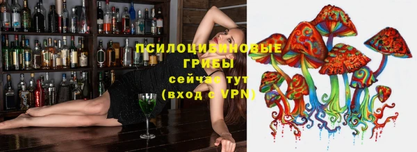 PSILOCYBIN Богданович