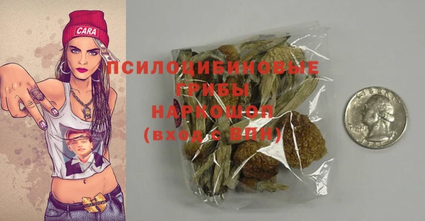 PSILOCYBIN Богданович