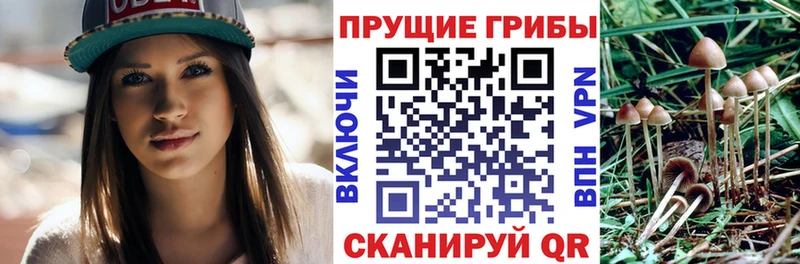 Псилоцибиновые грибы прущие грибы  Кирс 
